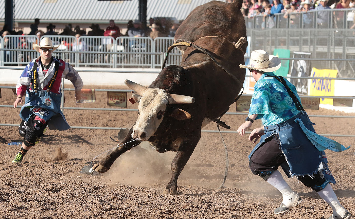 2018 La Fiesta de los Vaqueros Tucson Rodeo